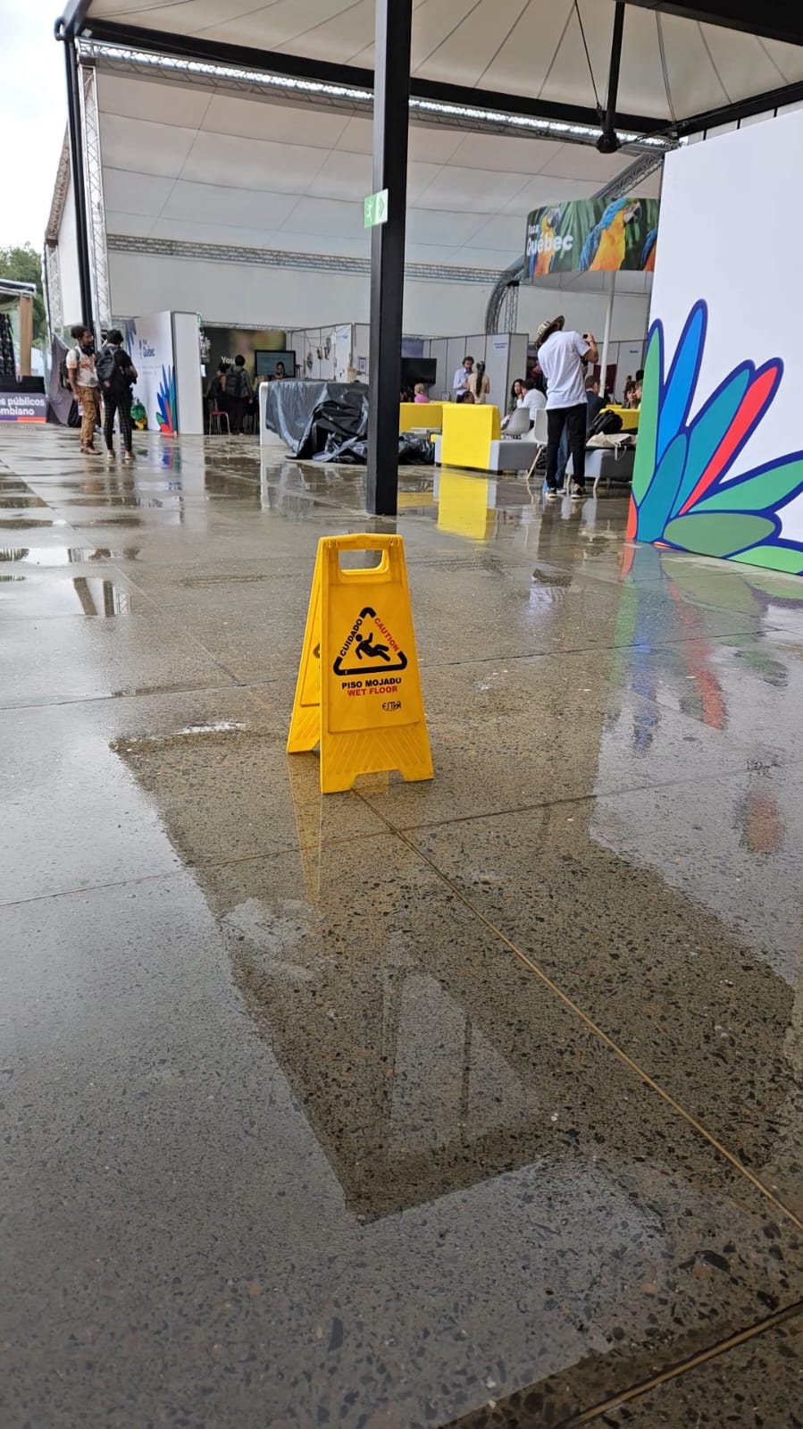 Inundaciones COP16
