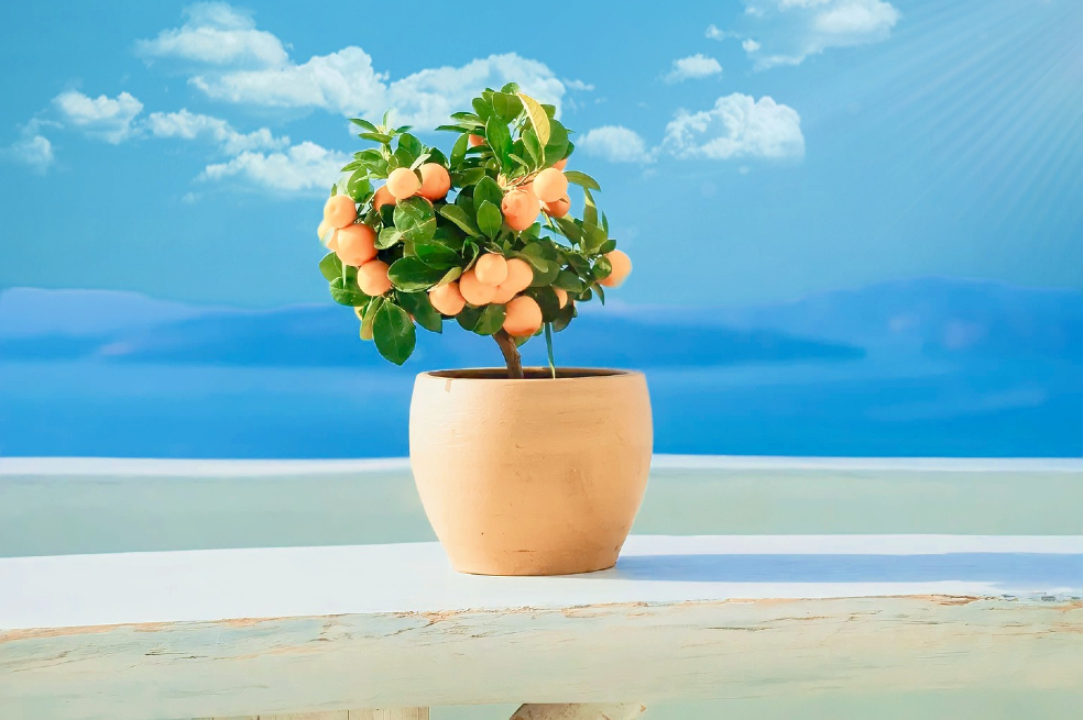 Estas son las frutas más fáciles para cultivar en casa
