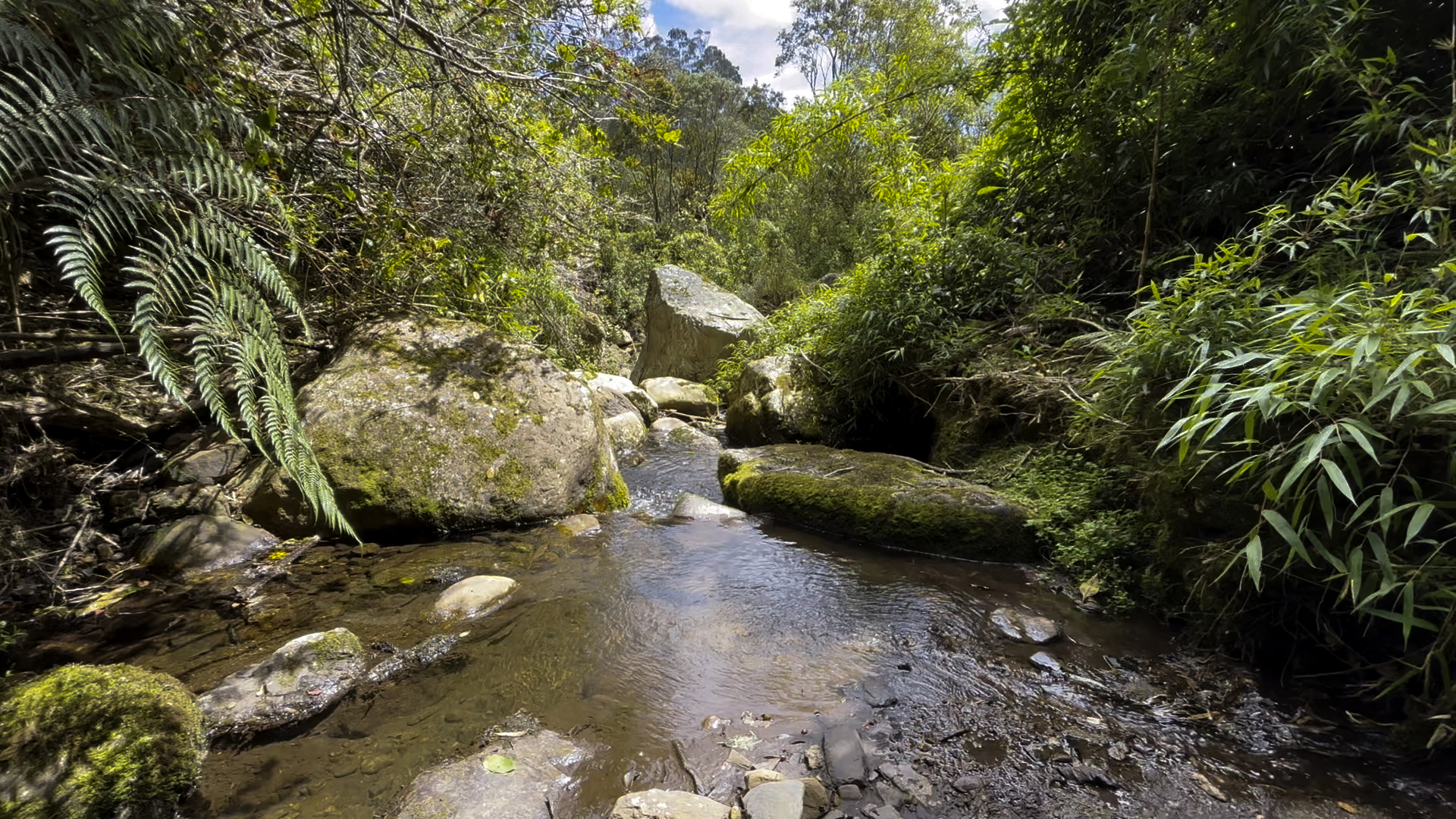 La Laguna Encantada de Subachoque: una caminata única a 90 minutos de Bogotá