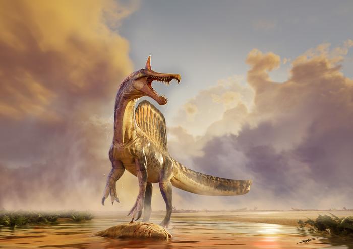 En un área remota del Sahara, científicos descubren un “asombroso” dinosaurio