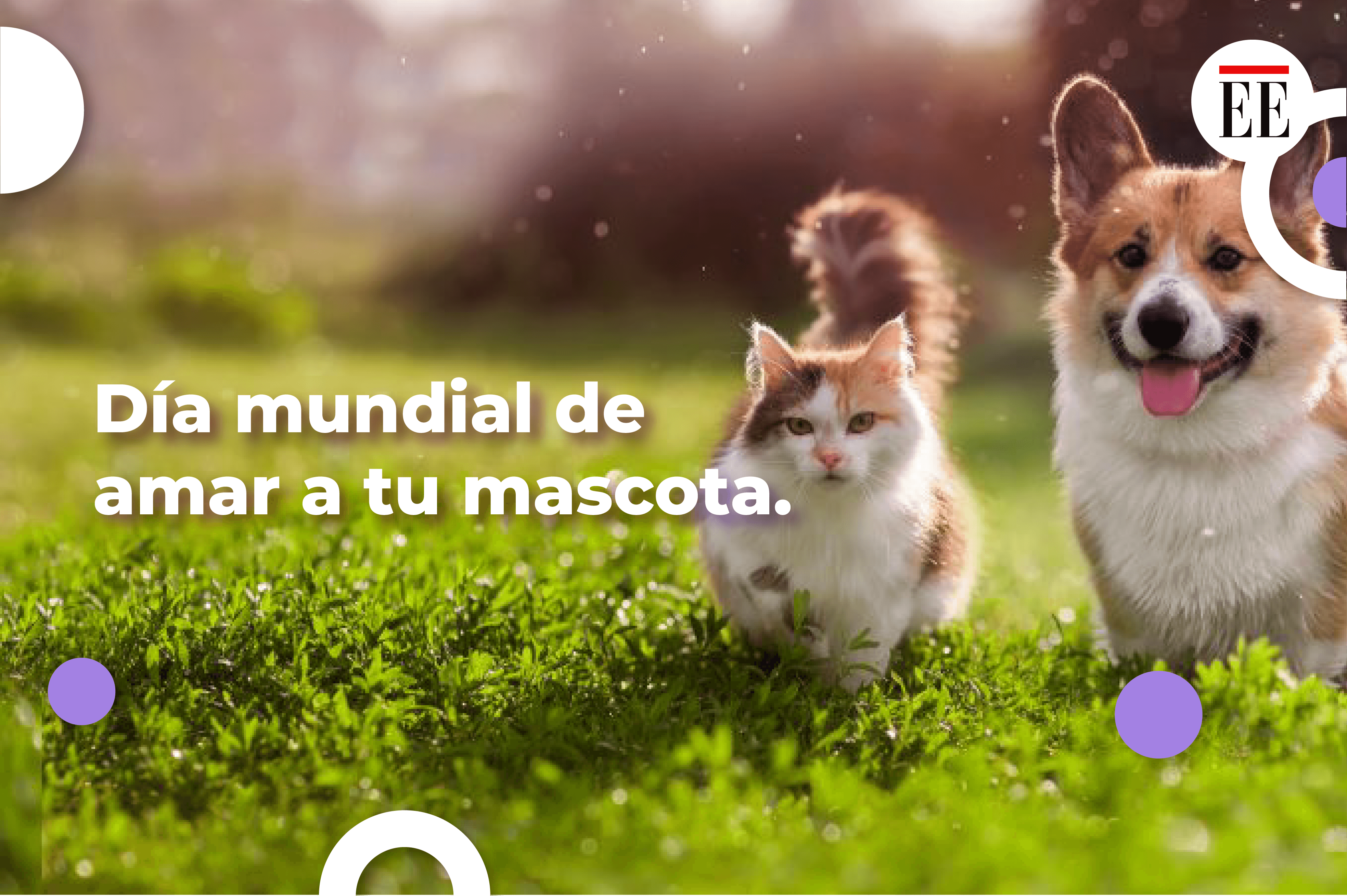Día Mundial de Amar a tu mascota: ¿de dónde surgió esta celebración?