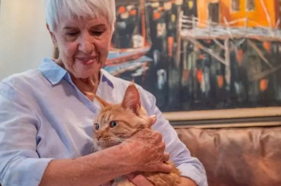 La inteligencia artificial podría ayudarle a encontrar a su gato: así volvió Louie