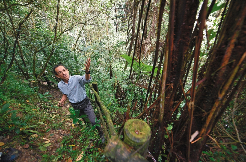 Germán Galindo recorriendo los 10 km de sendero de la reserva. /  Jose Vargas