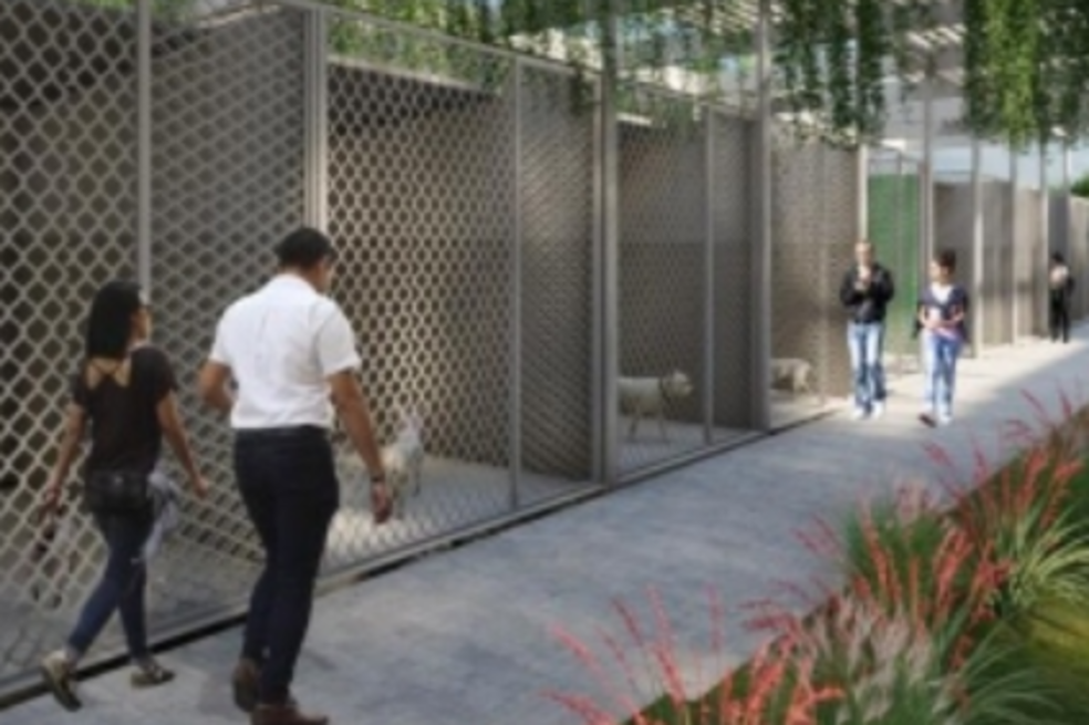 Unidad de Bienestar Animal de Bucaramanga