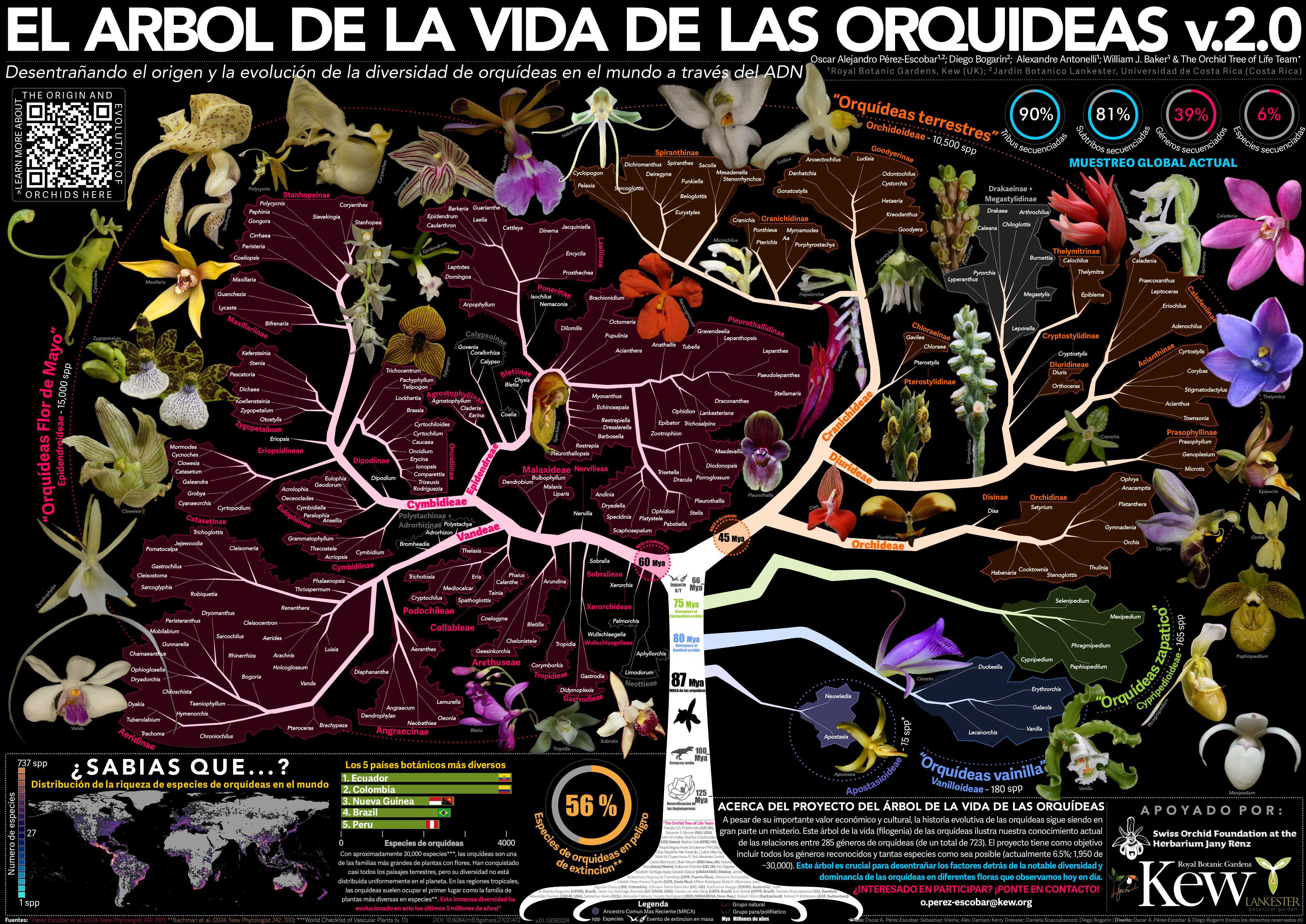 Póster de El árbol de la vida de las oquídeas.