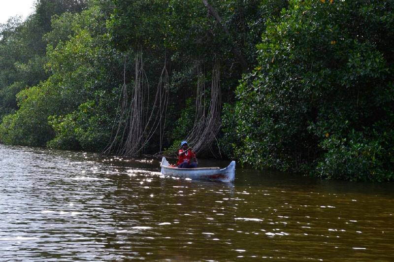 Acción popular busca que la Bahía de Cispatá tenga derechos