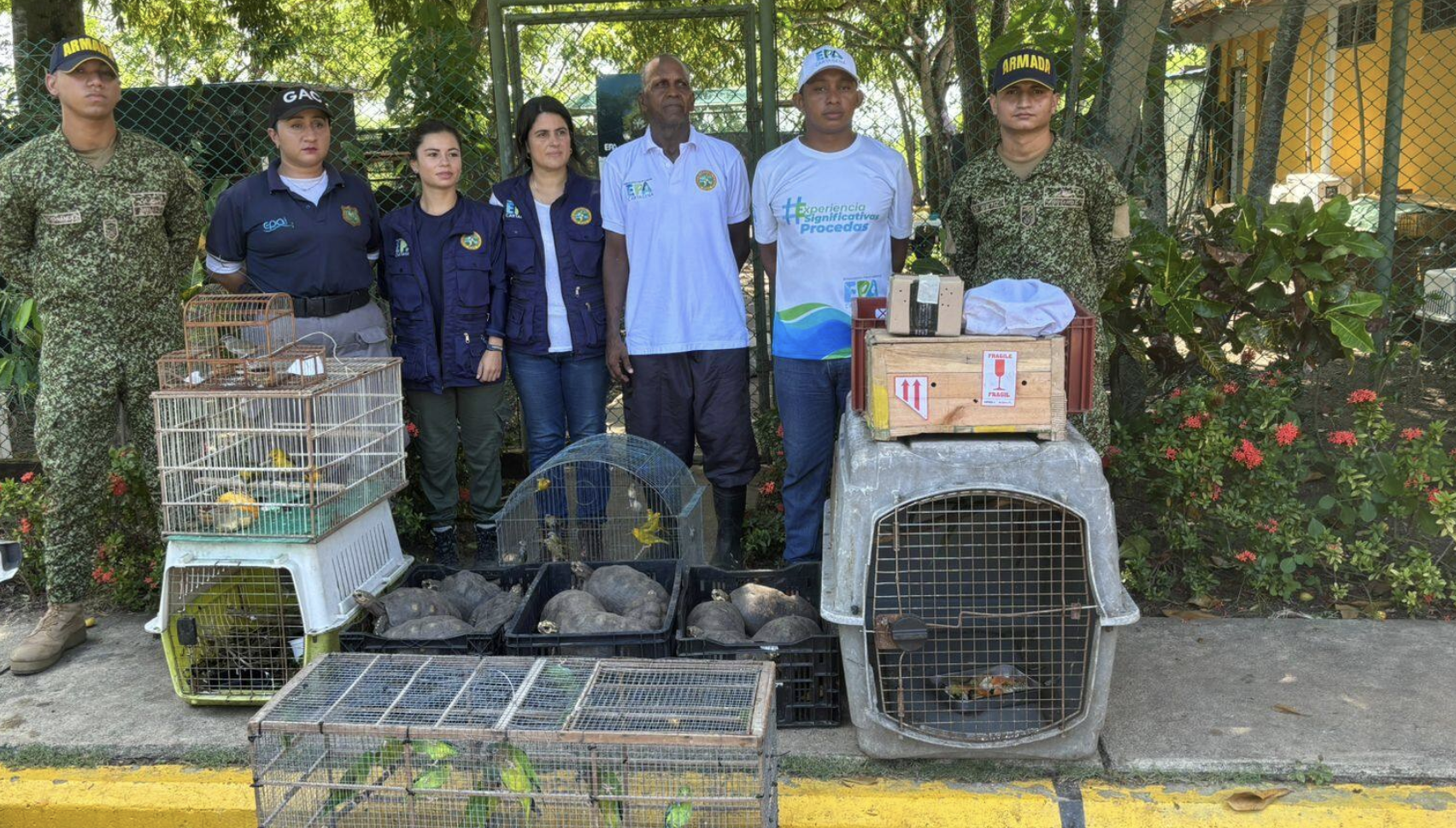 Recuperaron animales silvestres extraídos de sus hábitats: iban a ser vendidos ilegalmente