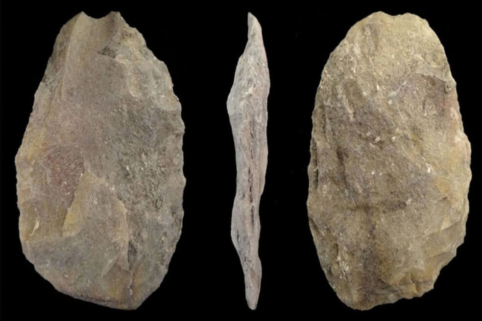 Los humanos habríamos contribuido a la extinción de mamíferos gigantes en América