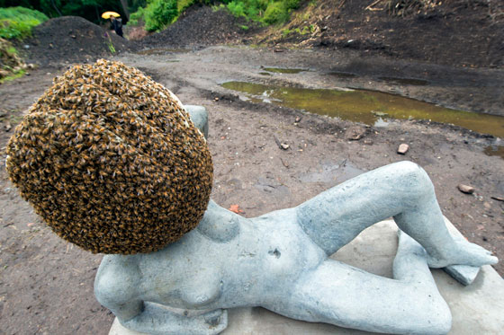 Así es la exposición más importante de arte contemporáneo