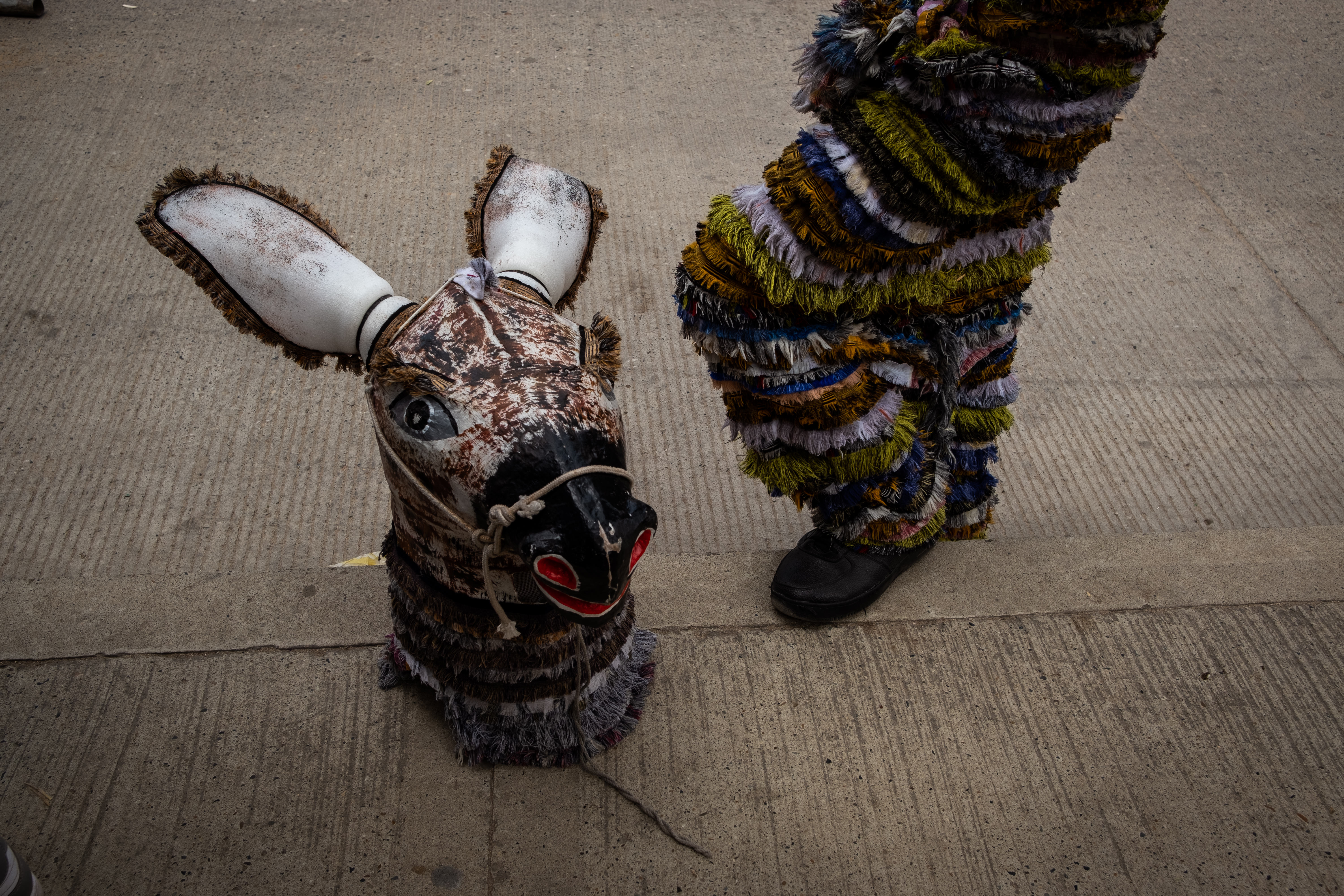 Máscara de un burro, una animal insignia en esta celebración.