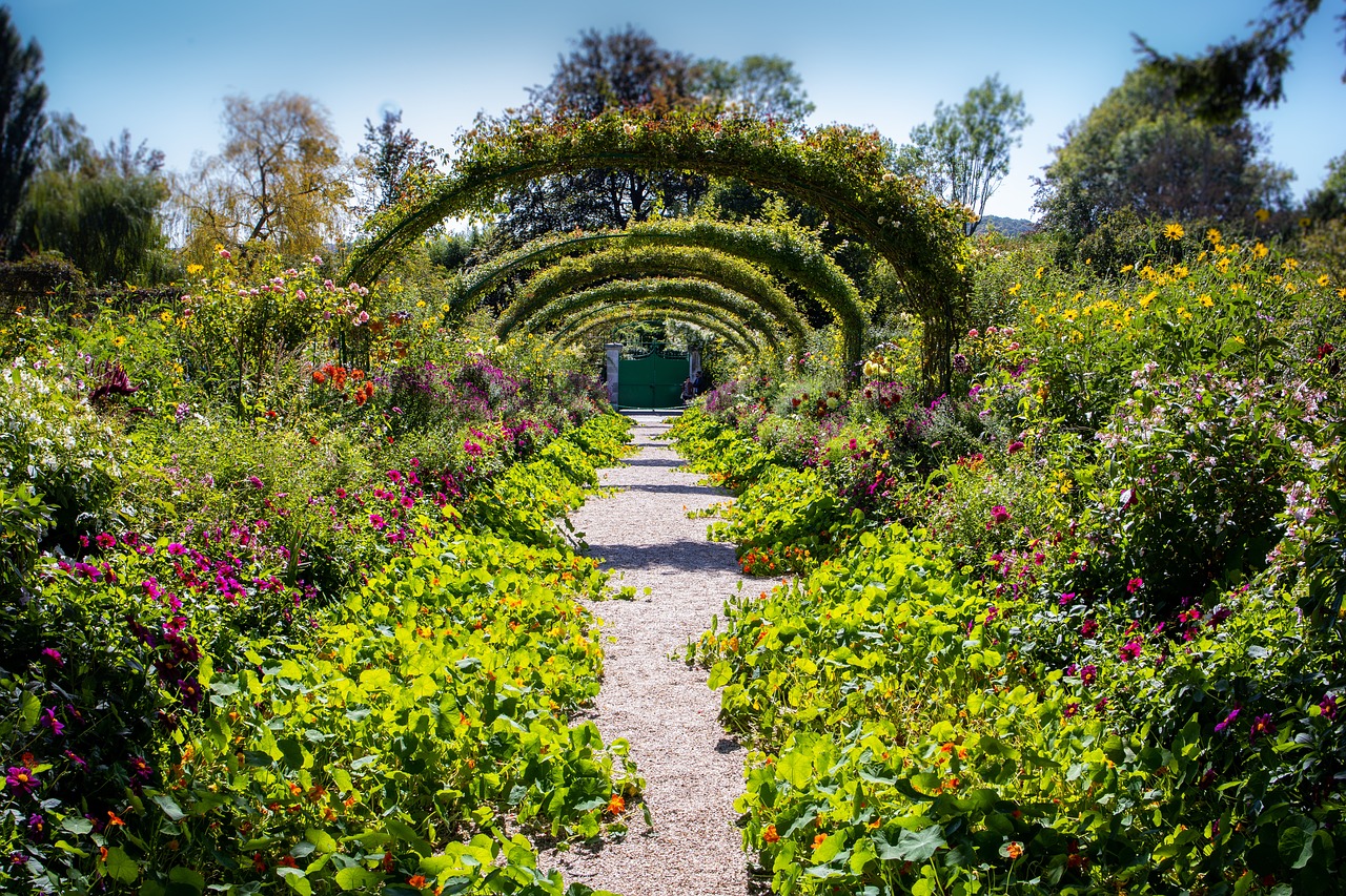 Senderos en jardinería: qué son y cómo puede construir el suyo