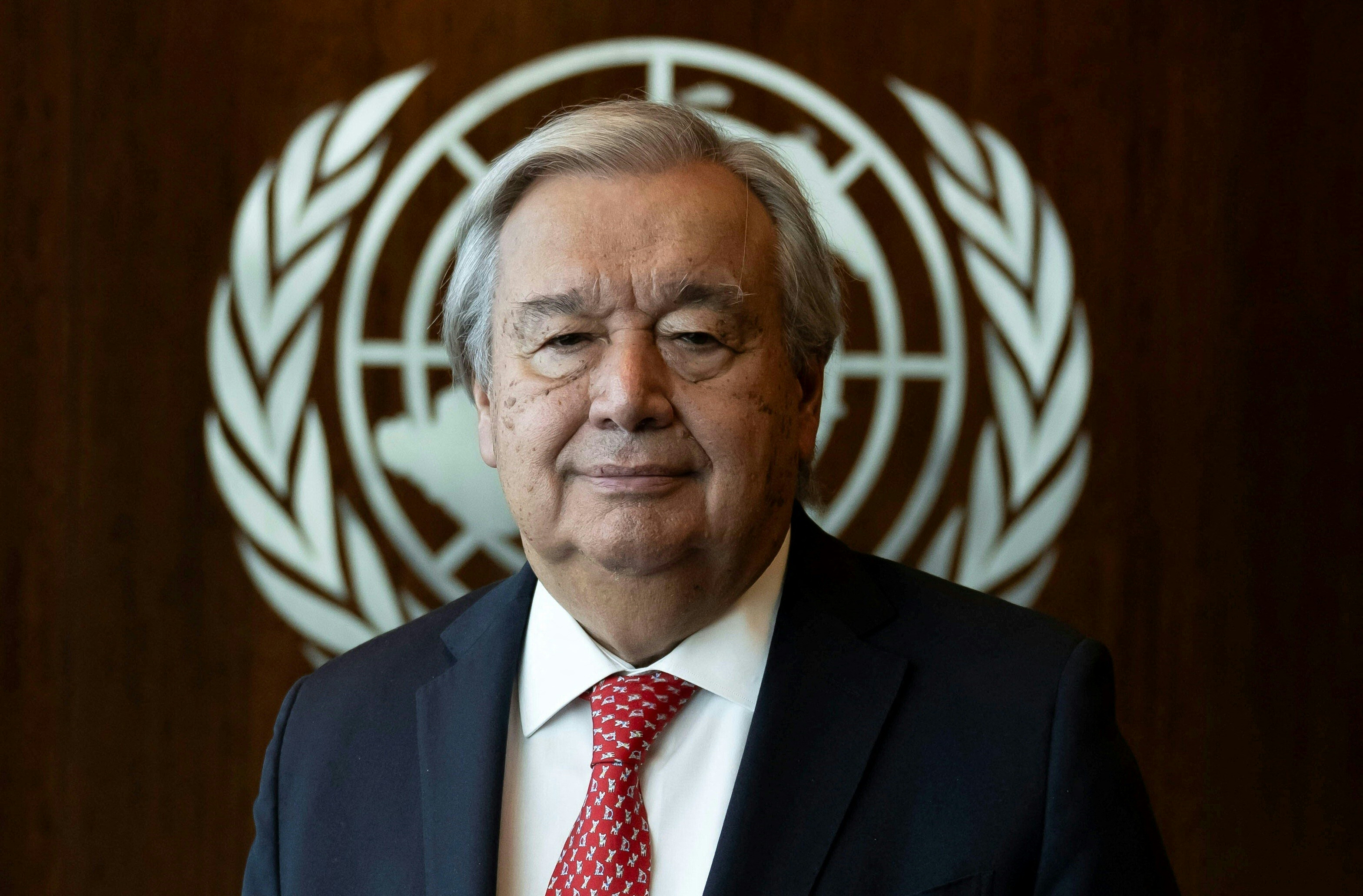Estos son los favoritos para ganar el Nobel de Paz 2024, ¿cómo se seleccionan?