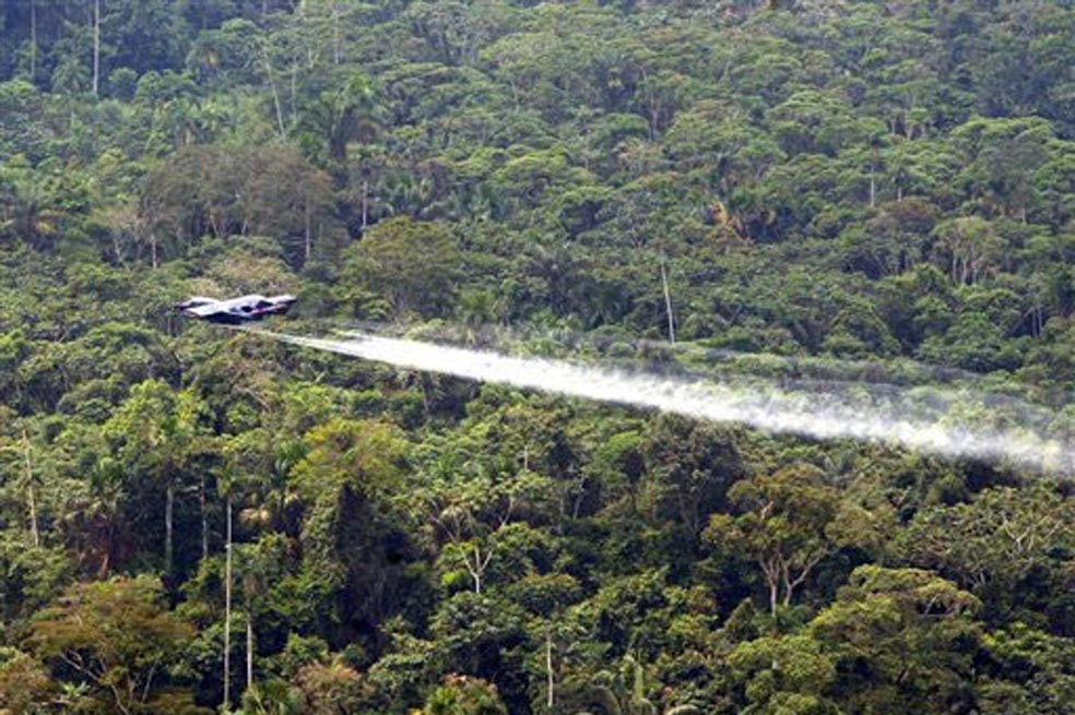 Cultivos de coca acaban con 111 hectáreas de bosque al día