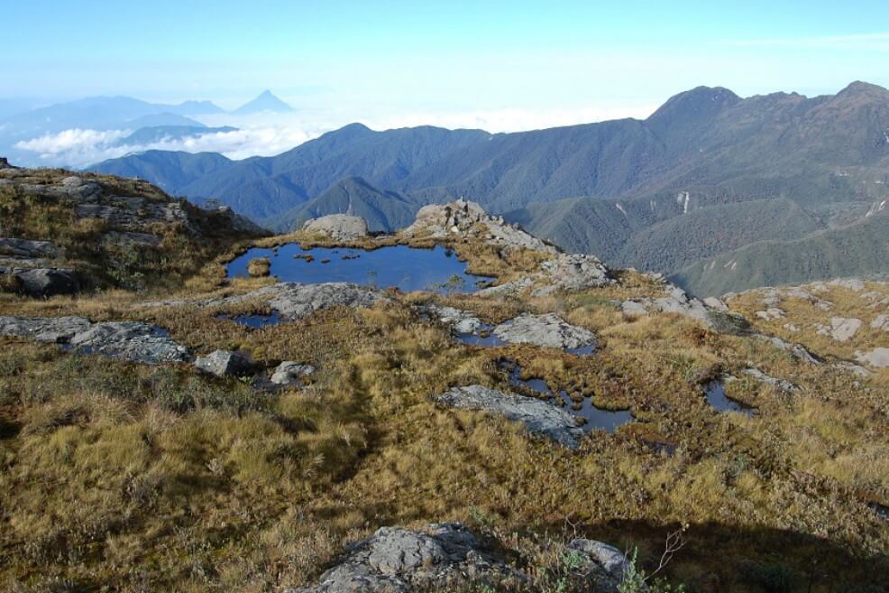 PNN Farallones de Cali - Laguna Pico Pance / Roger Franco Molina Paramo - PNN