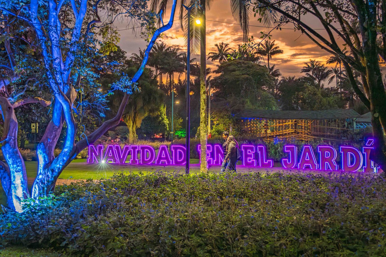 Cine al aire libre, recorridos guiados, carnavales, cuentería, circo, música y propuestas artísticas llenan de vida cada rincón; la recomendación es llegar temprano para poder disfrutar de toda la programación.