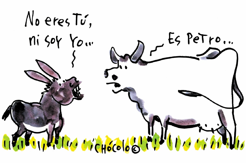 Polarización