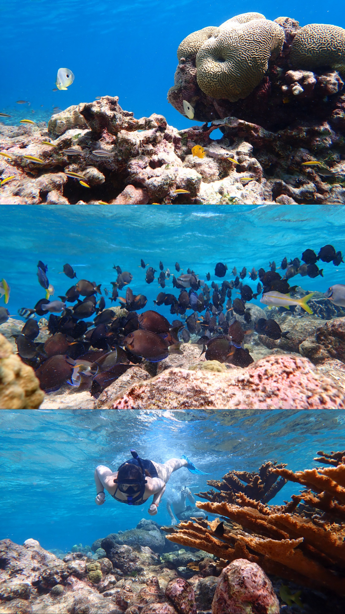Aruba Outdoor Adventure
