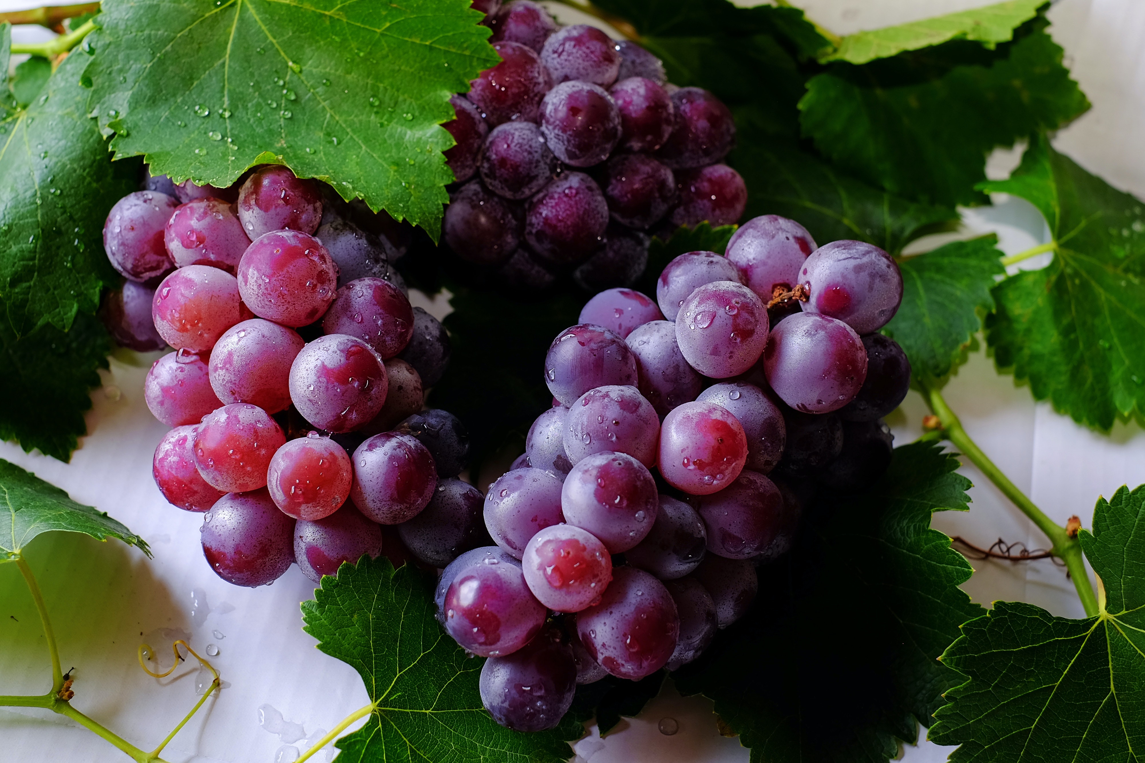 5 razones para comer uva todos los días