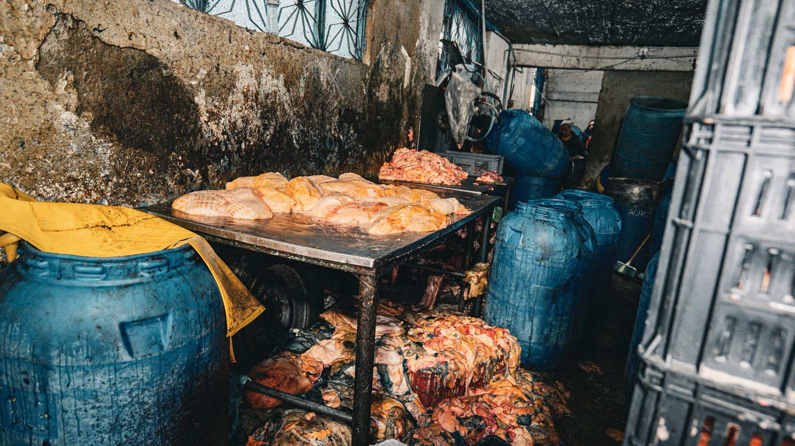 Encuentran casa en San Benito con restos de animales y carne en descomposición