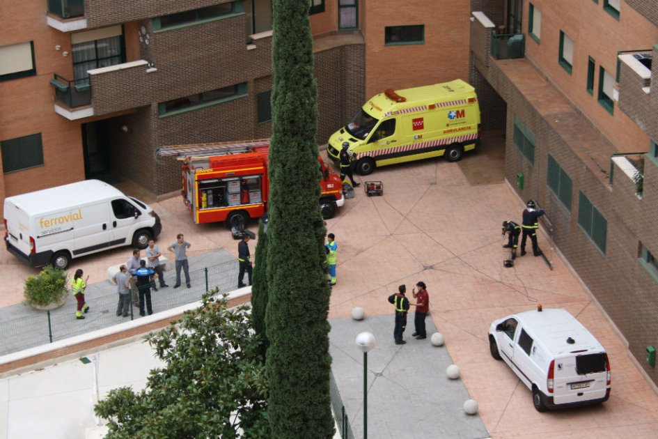 Niegan sacrificio de perro presuntamente infectado con ébola