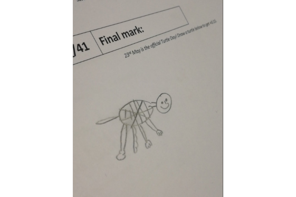 Los dibujos de tortugas de unos estudiantes para ganar puntos extras en un examen