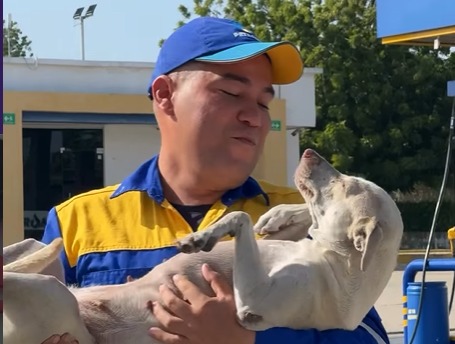 Mona, la perrita callejera que fue adoptada por una gasolinera en Soledad, Atlántico