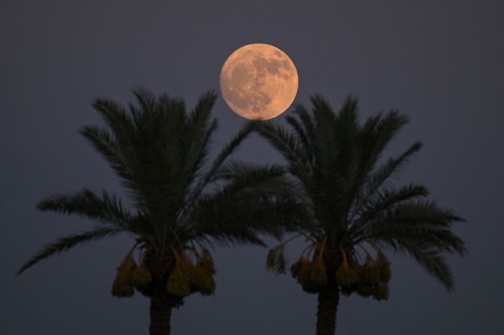 Luna llena de Ciervo 2026: cuándo será y cómo podrá verla