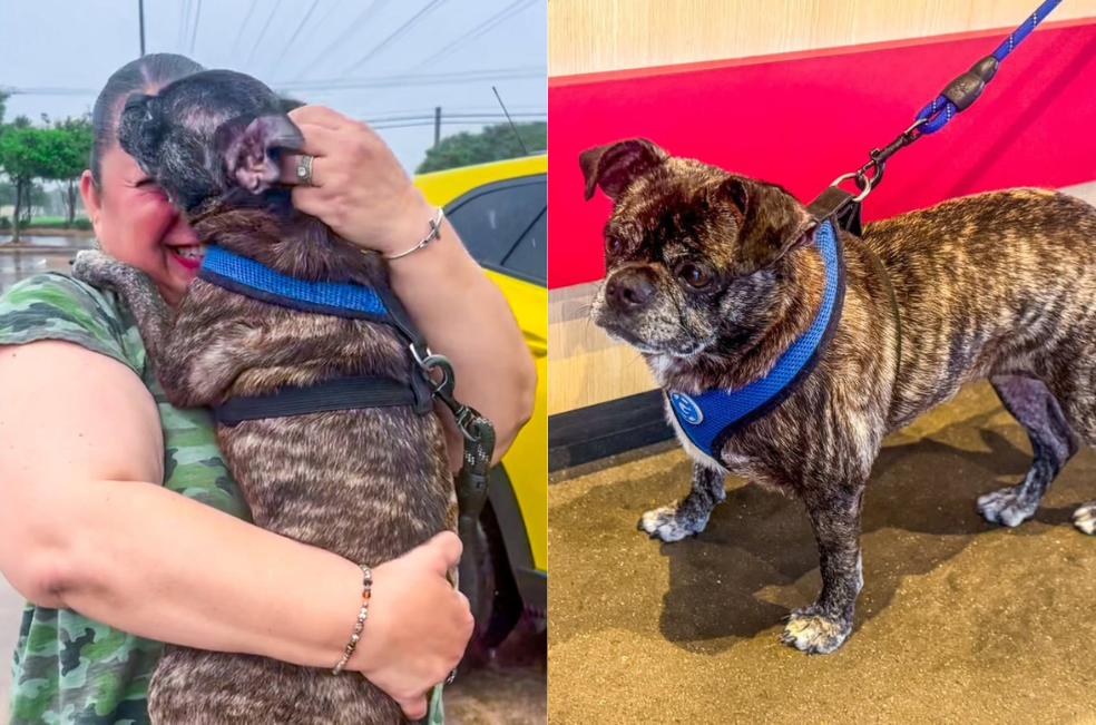 Tras ocho años desaparecida por un huracán, Blue se reencontró con su familia