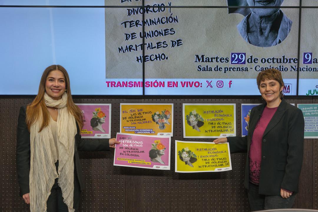 Se Radica en el Congreso un Proyecto para Establecer Reparación Económica a Víctimas de Violencia en el Hogar.