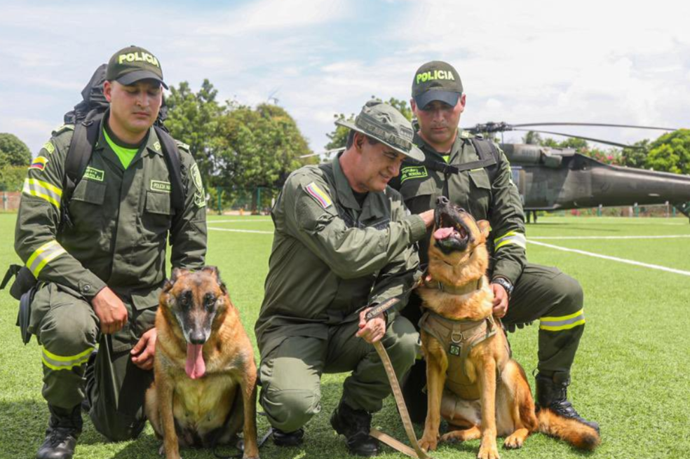 Estos son los dos perros que ayudarán a buscar al padre de Luis Díaz
