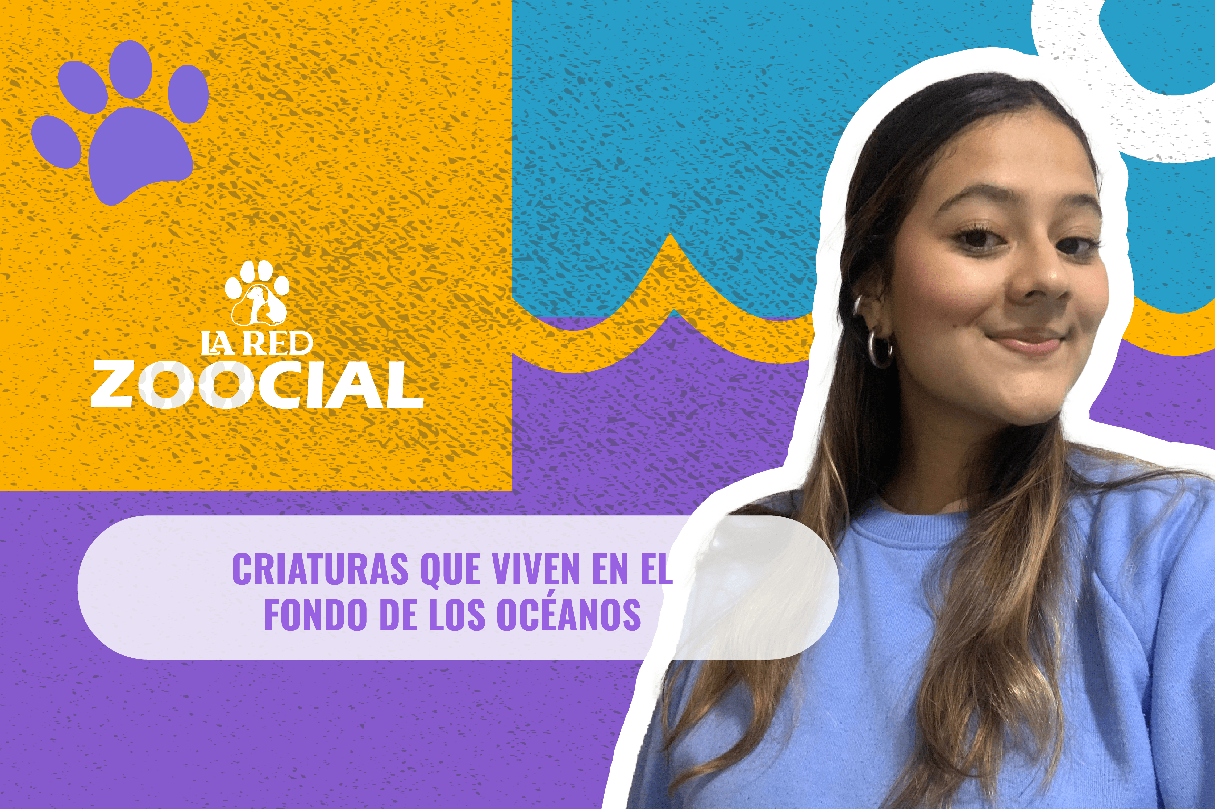 (Video) Cuatro extraños animales que viven en el fondo de los océanos