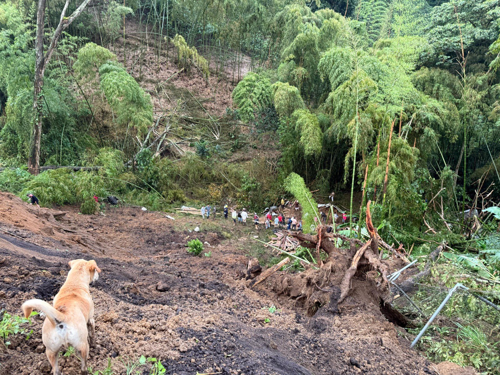 Un muerto y cuatro desaparecidos deja deslizamiento en Villamaría, en Caldas