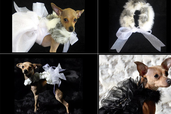 Kiki Hamann, diseñadora de alta costura canina