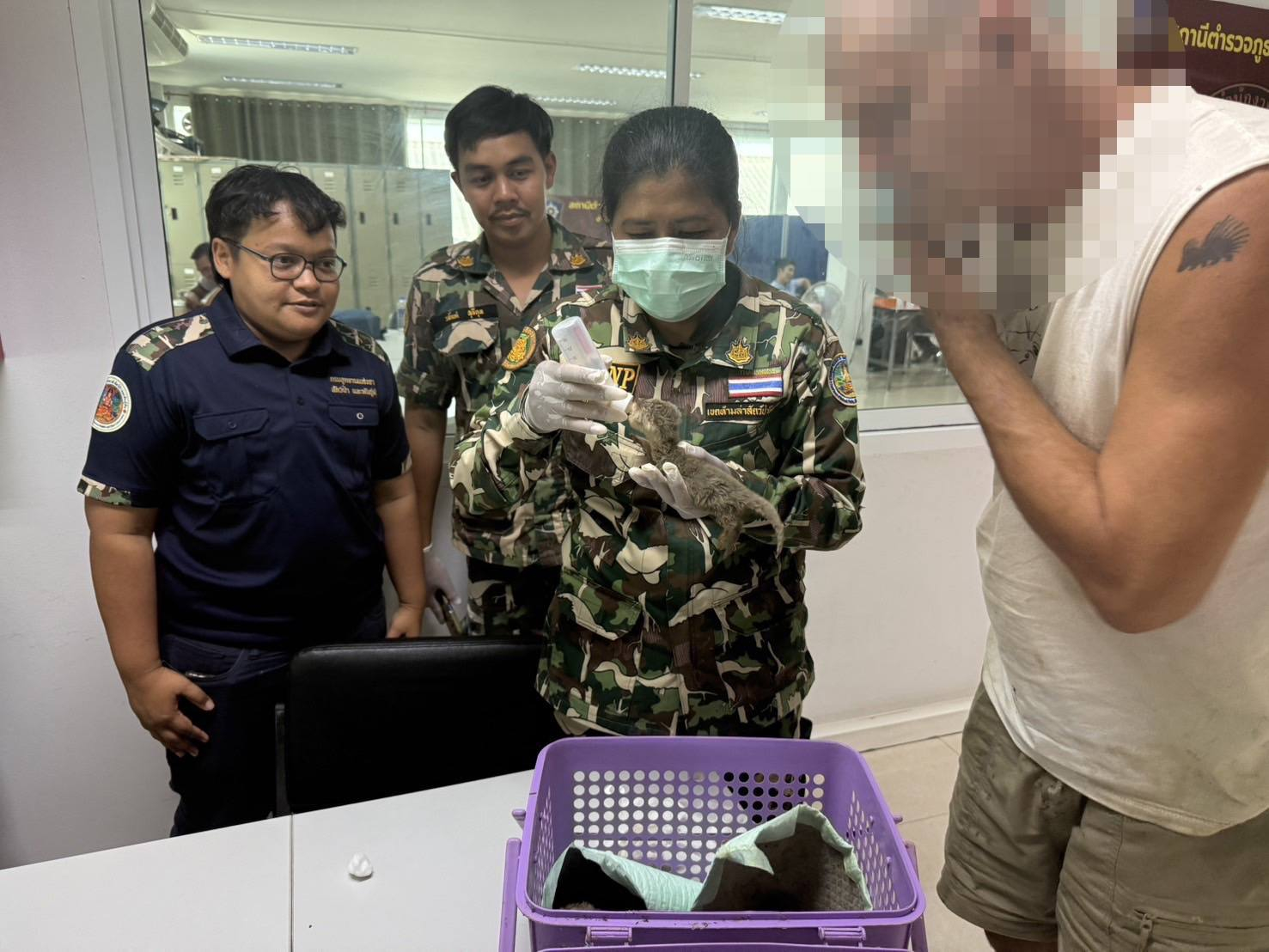 Frank Cuesta es detenido en Tailandia por presunta posesión ilegal de animales