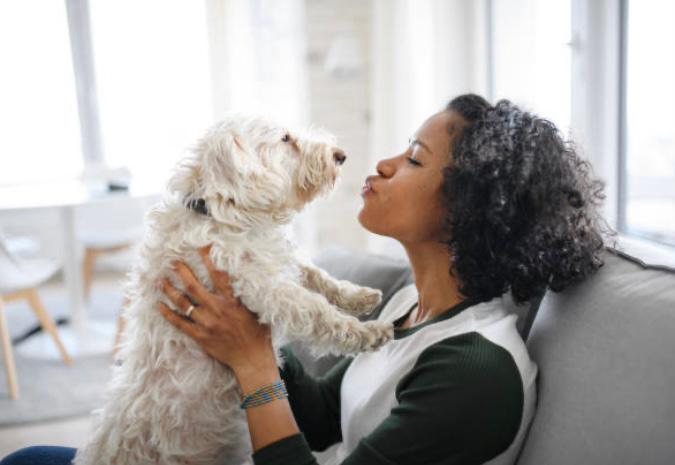 Estudio revela que los perros prefieren escuchar voces femeninas