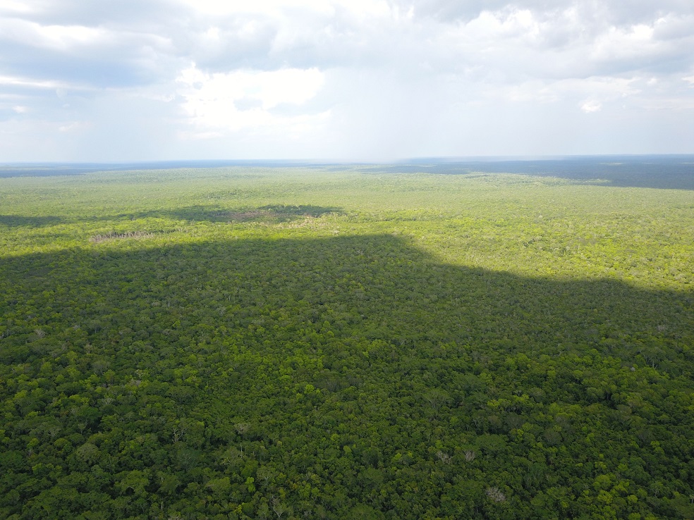 Guatemala: Manejar el bosque con justicia socialEn 1990, 2.1 millones de hectáreas de bosques tropicales se declararon como parte de la Reserva de la Biósfera Maya.Foto: Archivo Cooperativa Carmelita.En la zona del Petén, hace poco más de 20 años, un grupo de comunidades se organizó para forjar su futuro. Cuando en 1990, el gobierno guatemalteco declaró 2.1 millones de hectáreas de bosques tropicales como Reserva de la Biósfera Maya, esas comunidades estaban en riesgo de ser expulsadas del lugar y quedarse sin opciones de trabajo.