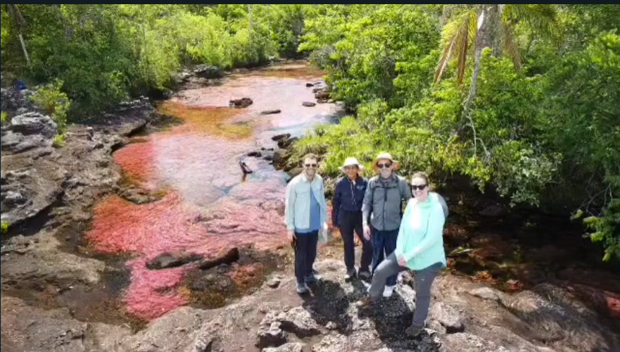 El Parque Nacional Natural Sierra de La Macarena, con sus orígenes en la Reserva Biológica de La Macarena (1948), abarca el levantamiento geológico más extenso del Escudo Guayanés hacia el occidente,