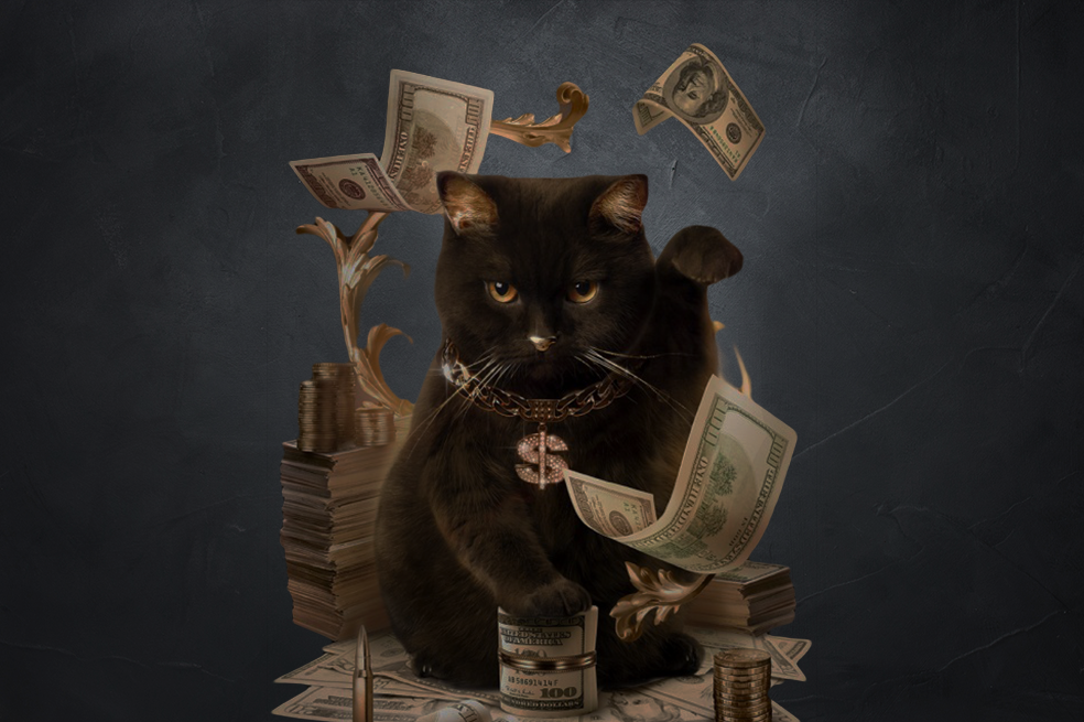 La historia de Blackie y cómo se convirtió en el gato más rico del mundo