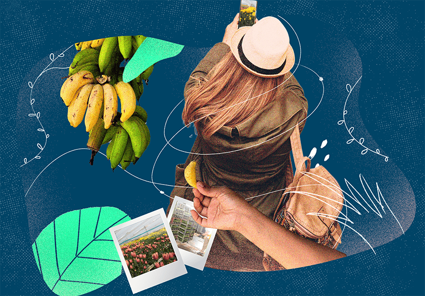 Agroturismo: una nueva forma de conocer el campo en Colombia
