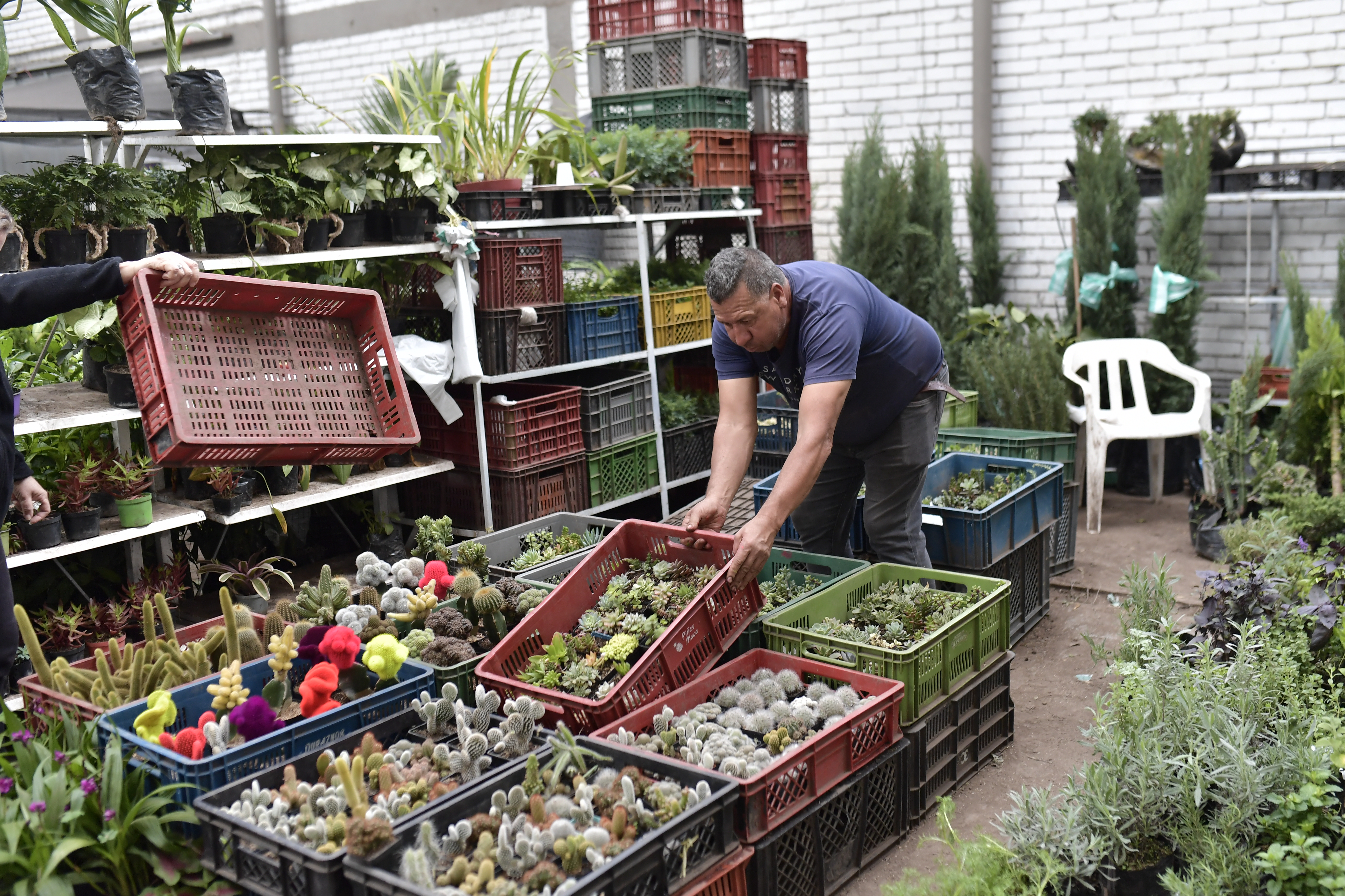 Mercado Nacional de Plantas: un espacio que reverdece en Bogotá