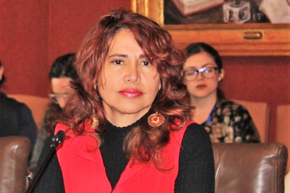La embajadora de Colombia en Israel ya volvió al país y se reunió con el canciller