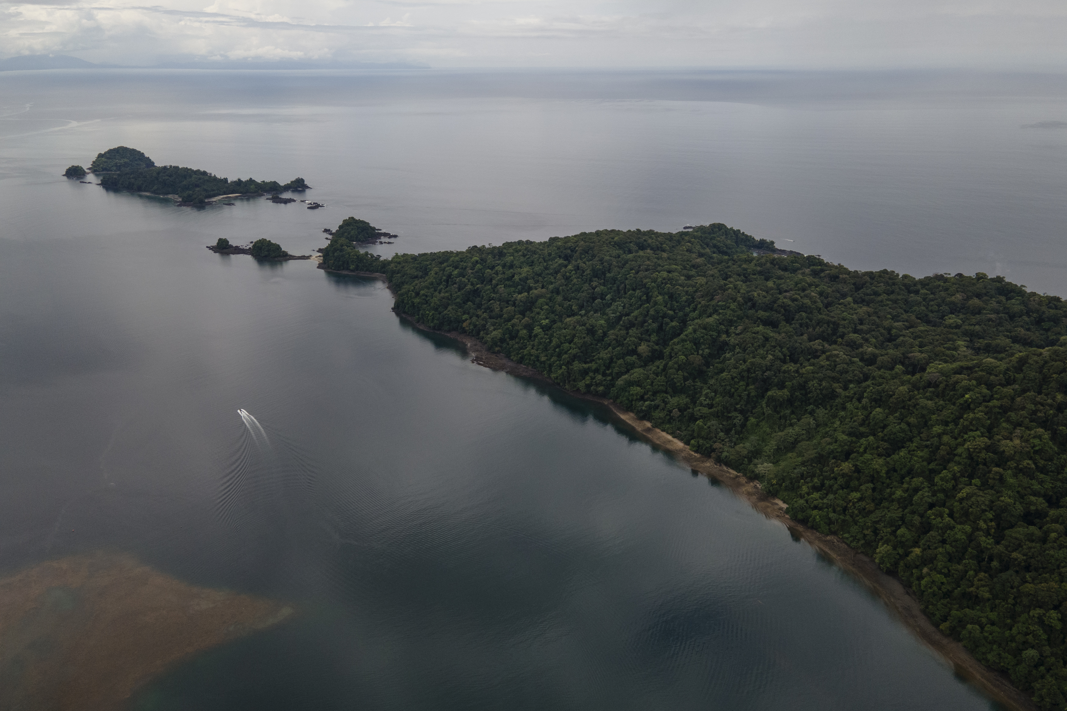 ¿Ha visitado un Parque Natural en Colombia? El 70 % de colombianos no lo ha hecho