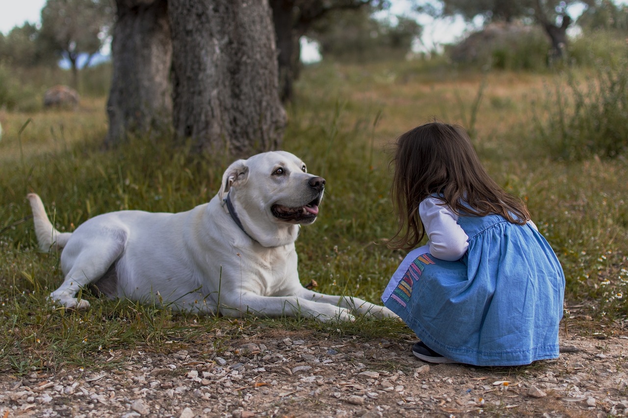 Tener perro o gato podría asociarse con menos alergias alimenticias en niños, según estudio