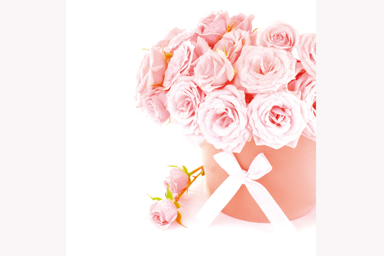 11 Curiosidades sobre el color rosa