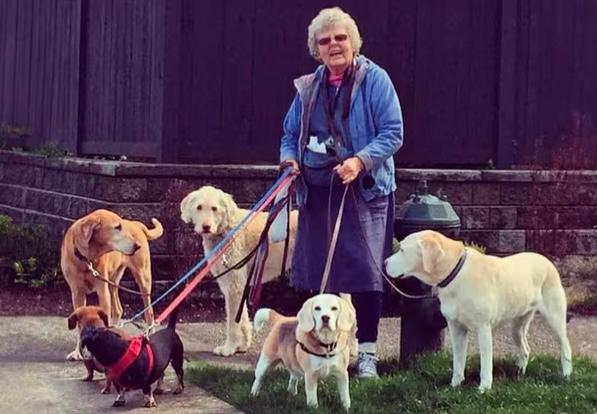 Paseadora de perros de 80 años muere tras defender a sus cachorros de un robo