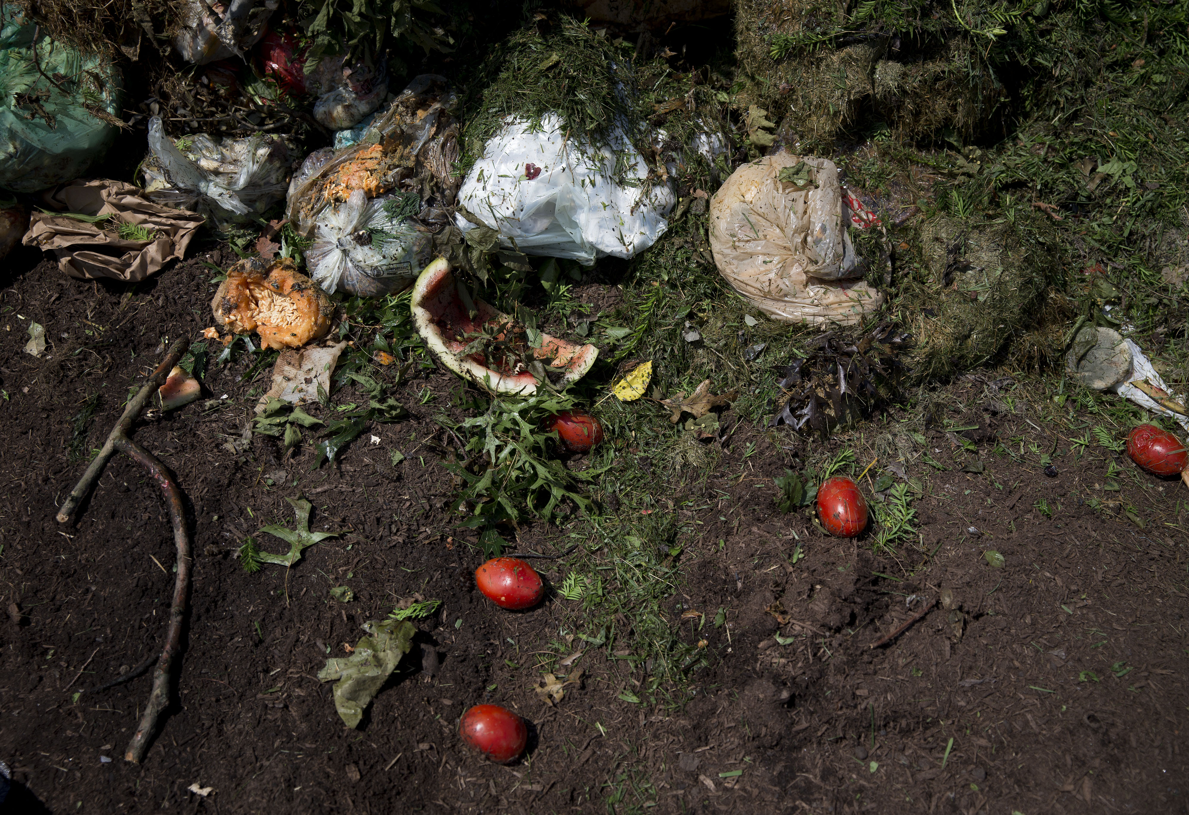 Lanzan campaña contra el desperdicio de 348.000 toneladas de comida al año en América Latina