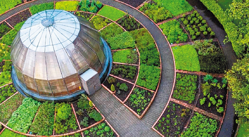 Jardín Botánico de Bogotá. / Jardín Botánico