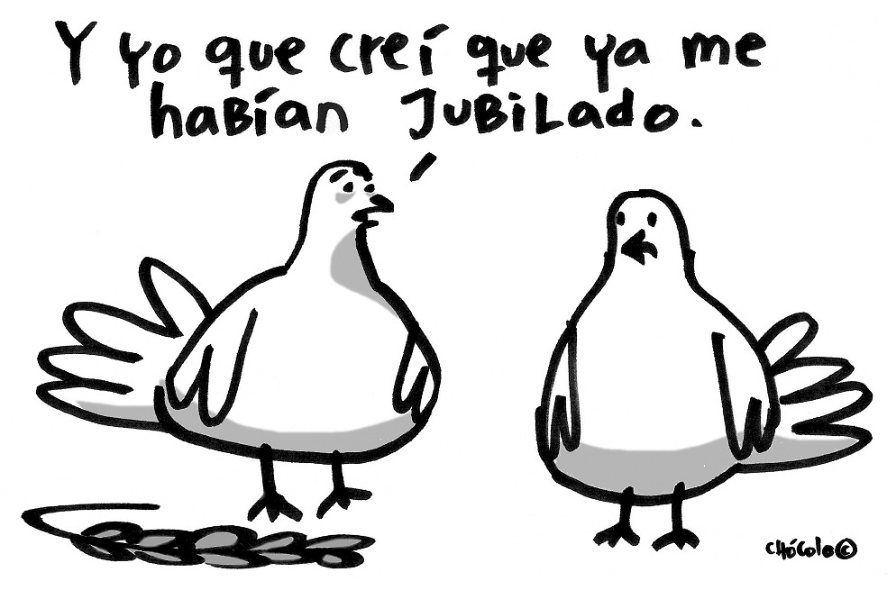 Chócolo