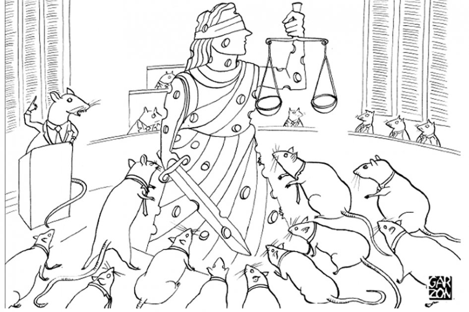 Cartones de Garzón