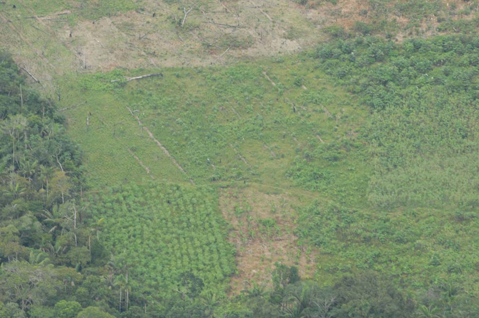 Colombia explora los caminos jurídicos del posconflicto
